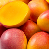 Mangue Tropicale 🥭