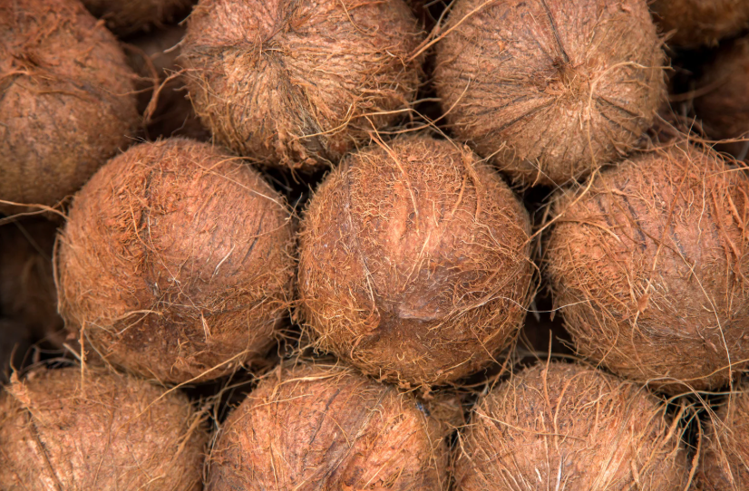 Huille de coco 